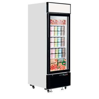 Congelador expositor LGF2500