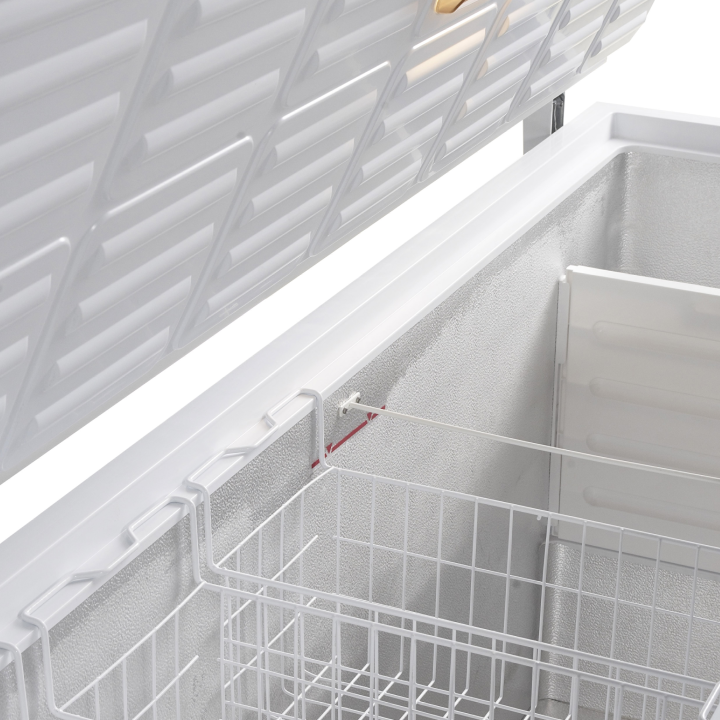 Congelador para helados FR605S SL